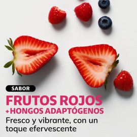 Electrolitos Con Hongos Adaptogenos en Polvo - Nootropico - Energetizante - Hidratacin Baja En Caloras, Apto Dieta Keto  Rehidratacin - 20 Sticks...  