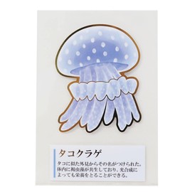 Adult Encyclopedia (Mini Deco Sticker), Water and Lightproof, Sticker/Jellyfish