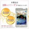 CANGAIA コラーゲン ペプチド サプリ サプリメント 海の恵み山の恵みWコラーゲン 30日分