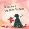ALEX CLARK Dachshund Dog and Poinsettia Christmas Card Pack of