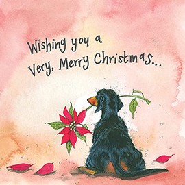 ALEX CLARK Dachshund Dog and Poinsettia Christmas Card Pack of 5