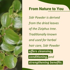 mi nature Sidr Powder, 227g (8oz, 0.5 lb) | Natural Hair Conditioner and Cleanser with Mucilages and Saponins for All Hair Types
