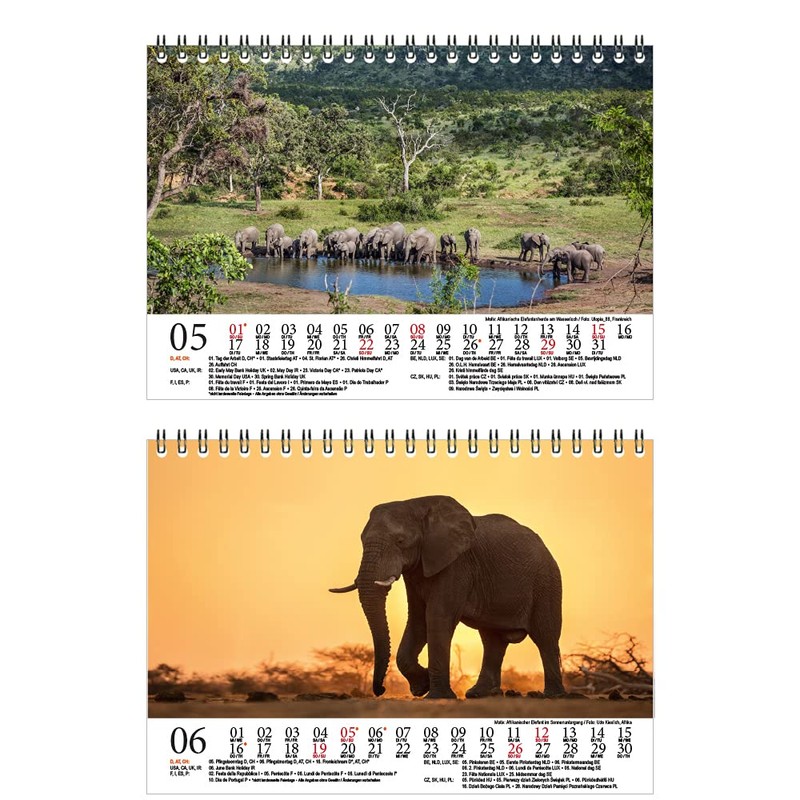 Elephant Magic DIN A5 Desk Calendar for 2022 Elephants Seelenzauber