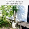 Yamazen STR-23(MX) Natural Stone Sheet, Sold Separately, Diameter 9.1 inches