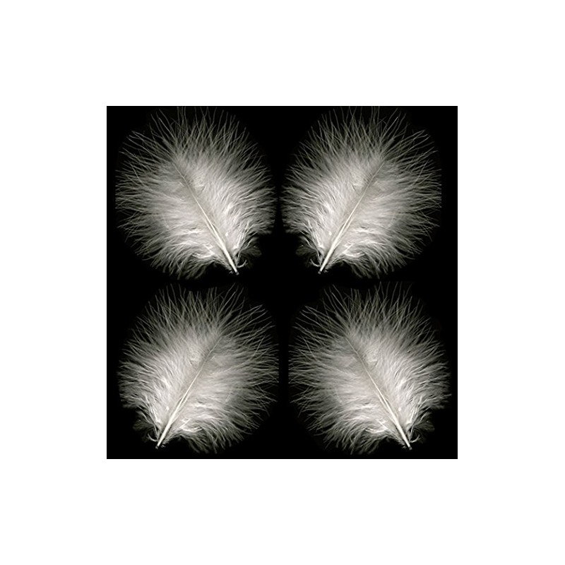 Marabou Feathers in White (Pk 30) by GC