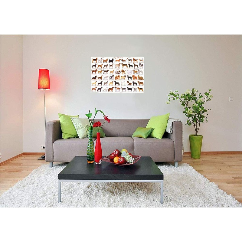 (24x36) Laminated Dogs of the World Educational Animal Chart Poster