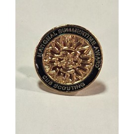 BSA CUB SCOUT NATIONAL SUMMERTIME AWARD PIN- WEBELOS
