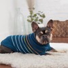 GF PET Arctic Sweater | Stylish Turtleneck Sweater for Dogs