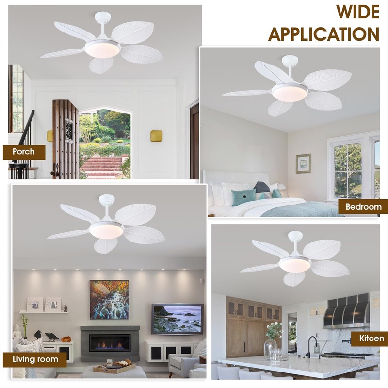 Wiviniya Ceiling Fans with Lights and Remote/APP Control, 48 Inch