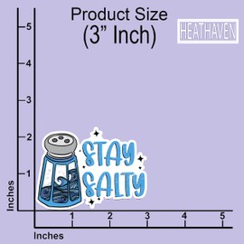 (3pcs) Stay Salty Bumper Stickers, Beach Stickers, Car Decal, Funny Bumper Stickers, Salt Life Sticker, Beachy Stickers, Kayak Stickers Decals Waterproof, Laptop Sticker, OBX Stickers, Beach Decals