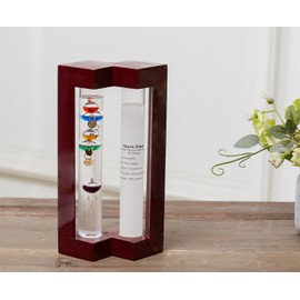 Weather Station with Glass Galileo Thermometer with 5 Multi Colored Balls from 64ºF to 80ºF Fitzroy Storm Glass Gift for Family or Friends Present Home, Office Indoor Décor (7.8" x 4.8")
