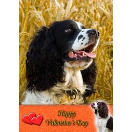 Springer Spaniel Dog Valentines Day Card
