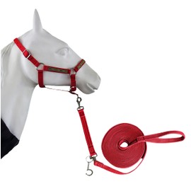 LUCKIEST MAP 2PCS Adjustable Horse Halter&Horse Training Lunge LINE Double-Buckle Anti-Entanglement Soft BUT Firm Used for Equestrian Training and Training