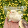 2025NEW Handmade Squishies Chick, Fuzzy Chicken Squishies, Pinch Squishies for