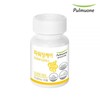 Pulmuone Power Gut Care 30-day supply 350mgX30 capsules / 풀무원 파워장케어30일분 350mgX30캡슐