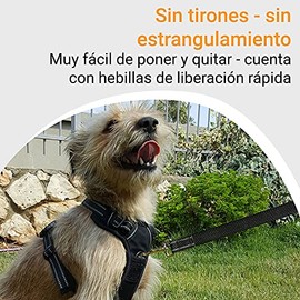 IBO Pechera para Perros Grandes, Medianos y Pequeños. Arnés Reflectante 3M Anti Tirones y Anti Ahogamiento con Varios Puntos de Anclaje. Incluye...   