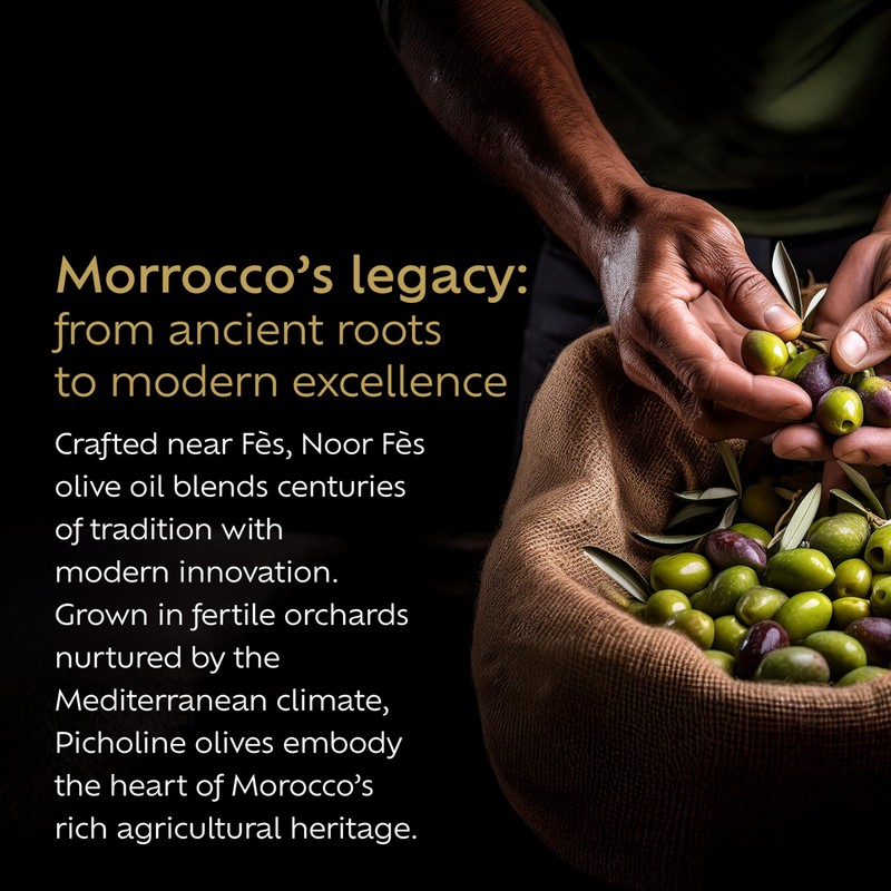 Noor Fes Noor Fs Award Winning Polyphenol Rich Olive Oil