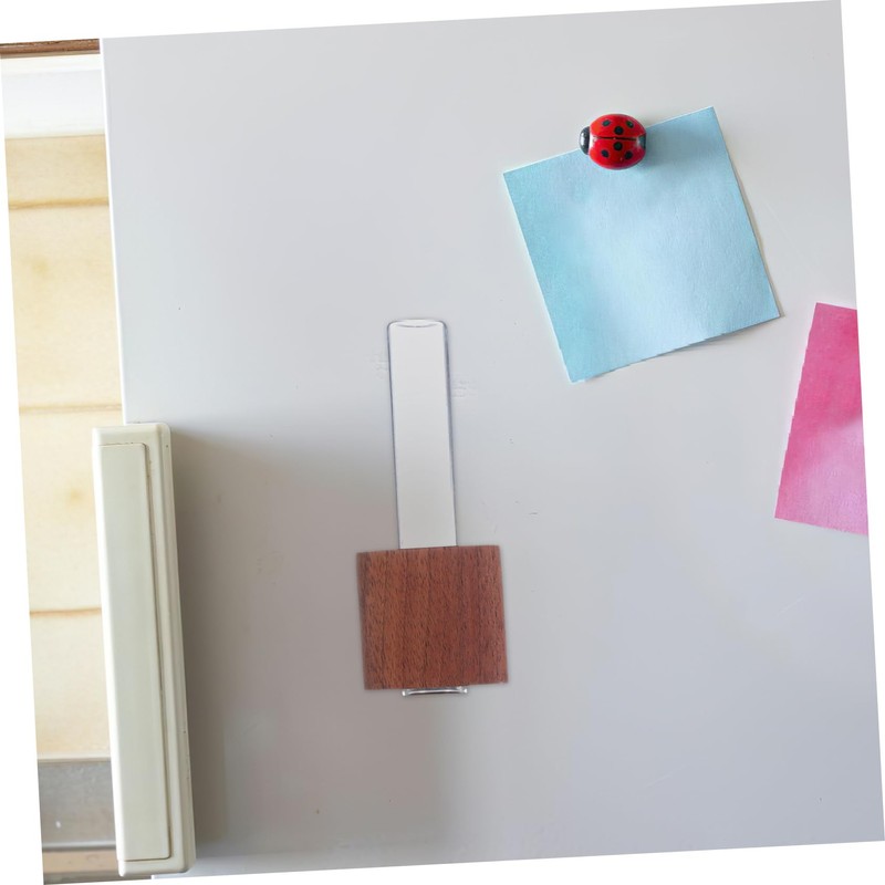 Totority Test Tube Planter Cute Flower Vase for Office Kitchen