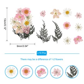 PATIKIL Dried Pressed Flowers, Real Pressed Flowers Dry Leaves for Scrapbook Supplies Card Making Resin Jewelry Making Soap Candle DIY Crafts, Pink