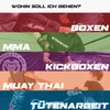 Starpro Children's Boxing Gloves | Boxing Gloves in Comic Design