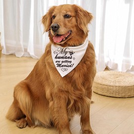 Engagement Gift, My Humans are Getting Married Dog Bandana, Wedding Engagement Photos, Bride to Be, Bridal Shower Gift, Pet Scarf Engagement Announcement, Pet Accessories (2 Pack)