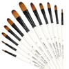 Dainayw 12 PCS Filbert Paint Brushes Set, Artist Brush for Acrylic Oil Watercolor Gouache Artist Professional Painting Kits with Synthetic Nylon Tips White