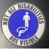 Egl Not All Disabilities Are Visible Handicap Sticker Vinyl Decal