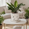 Square Plant Saucer 6 Inch 2 Pack，Plant Trays for Pots,