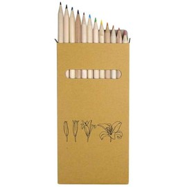 Azeeda 12 x 'Bloom Lily' Long 178mm Coloured Pencils/Pencil Set (PE00070811)
