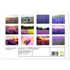 Lavender - The purple miracle flower (Monthly Wall Calendar 2025