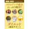 santelife イヌリンプラス イヌリン 高配合50000mg GABA 3000mg 食物繊維 水溶性 菊芋 サラシア