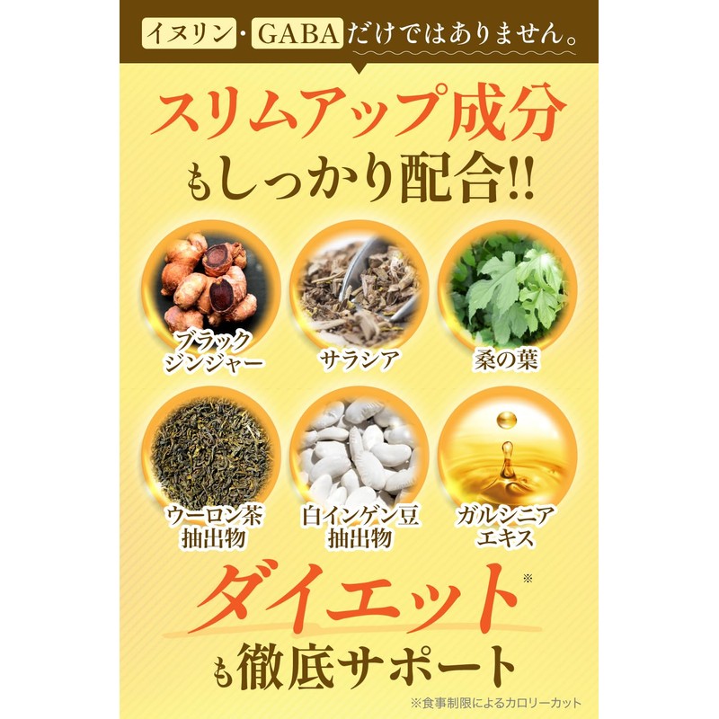 santelife イヌリンプラス イヌリン 高配合50000mg GABA 3000mg 食物繊維 水溶性 菊芋 サラシア