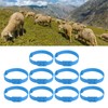 10PCS Goat Collar PU 23 Inch Adjustable Livestock Collar for