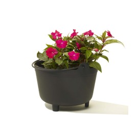Novelty MFG 48098 Antique Kettle Planter, 9-Inch, Black