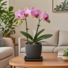 Square Plant Saucer 4 Inch 2 Pack，Plant Trays for Pots,