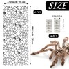 Niuohoy 4 Pack Tarantula Enclosure Accessories Jumping Spider Habitat Accessories