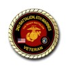 Military Productions 2nd Battalion 6th Marines Veteran Challenge Coin