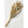 Hearth and Hand 2pk Preserved Grass Flower Stems Bundle From
