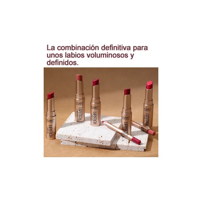 Set De Lapiz Labial Y Delineador Color Mate Impermeable 2pcs