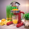 Positano 309805 Professional Juicer Red