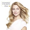 Dove Powered by Plants Natural Cosmetics Body and Hair Oil