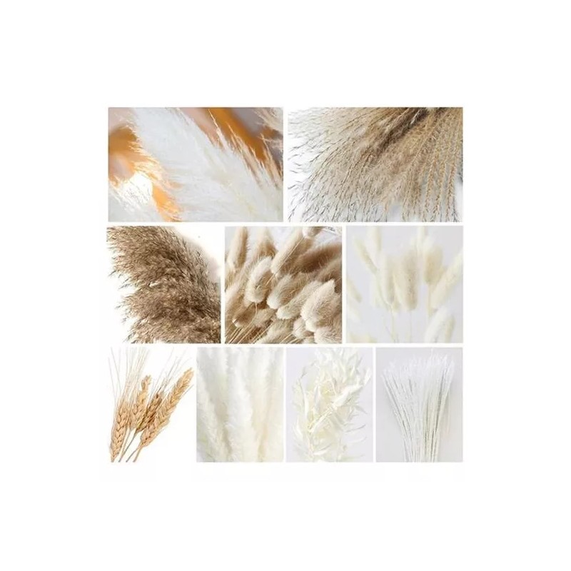 Qianailian 79 Piezas De Hierba De Pampa Seca Natural, Decoración