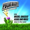 Pulverize 100534811 Messina Weed & Grass Killer, White
