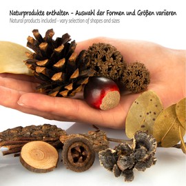 com-four® 3x Christmas Decorations in a Bag with Cones, Leaves and Wooden Discs - Christmas Accessories - DIY Set - Table Decorations - Advent Wreath (3x bags: cones. Leaves. Wooden discs)