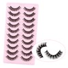 Oreola False Eyelashes, 10 Pairs, Russian Strip Lashes, D Curl