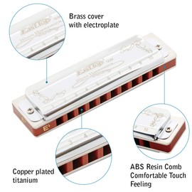 East Top 10 Holes 20 Tones 008K Diatonic Harmonica Key Eb with Silver Cover, Standard Harmonicas for Adults, Professional Players and Students