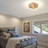 Luminzone Gold Flush Mount Ceiling Light, 2-Light Hallway Light Fixtures,