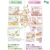 ライラック乳酸菌 オリゴプラス (60g / 約1ヶ月分)