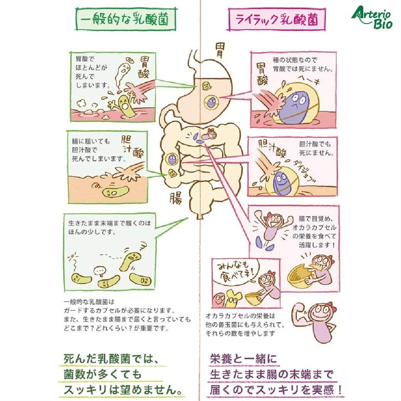 ライラック乳酸菌 オリゴプラス (60g / 約1ヶ月分)