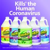 OdoBan Disinfectant Concentrate and Odor Eliminator, 1 Gallon, Citrus Scent